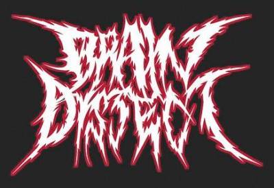 logo Brain Dissect logo Brain Dissect